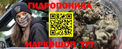 шишки Бузулук